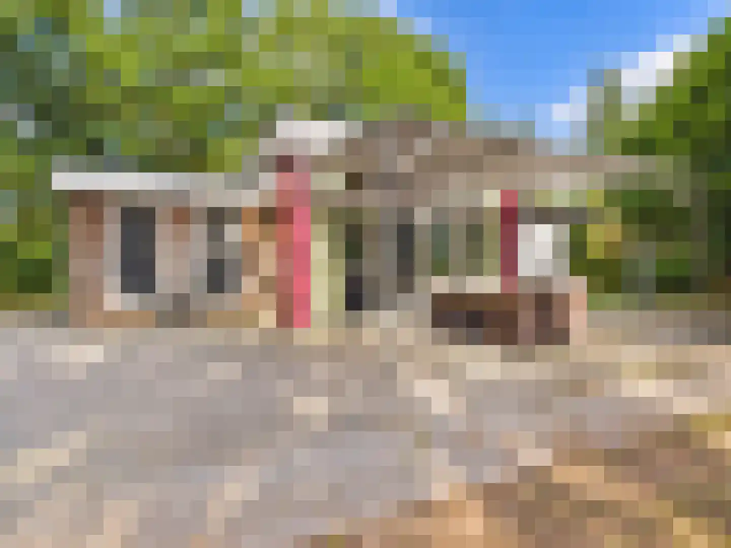 Roosendaalsebaan 30 Schijf thumbnail 27