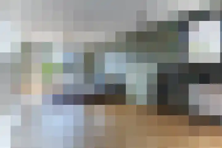Roosendaalsebaan 38 Oud Gastel thumbnail 10