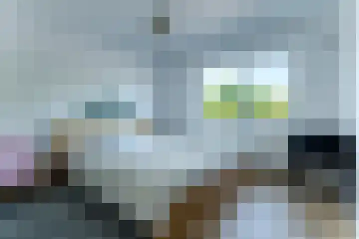 Roosendaalsebaan 38 Oud Gastel thumbnail 35