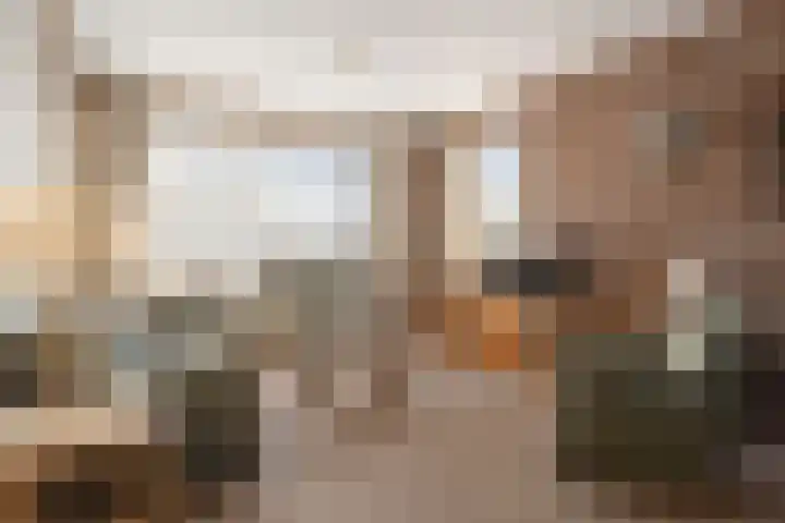 Roosendaalsebaan 4 Oud Gastel thumbnail 10