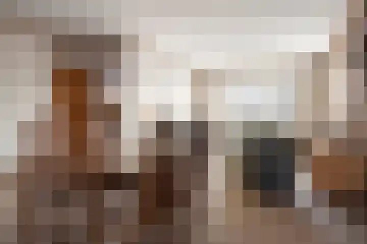Roosendaalsebaan 4 Oud Gastel thumbnail 13