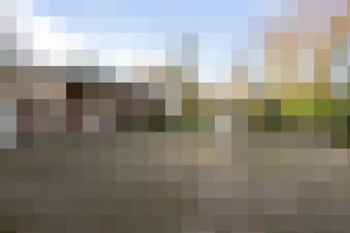 Roosendaalsebaan 4 Oud Gastel thumbnail 31