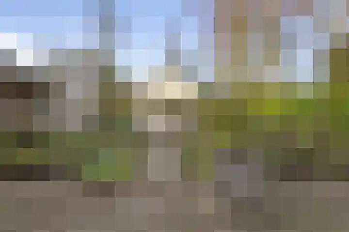 Roosendaalsebaan 4 Oud Gastel thumbnail 33