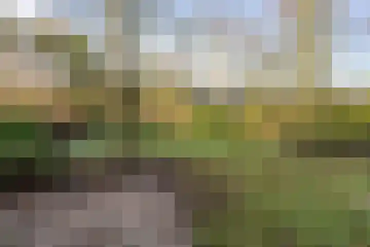Roosendaalsebaan 4 Oud Gastel thumbnail 36