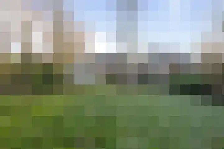 Roosendaalsebaan 4 Oud Gastel thumbnail 37