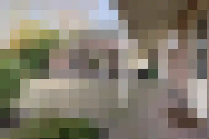 Roosendaalsebaan 4 Oud Gastel thumbnail 38