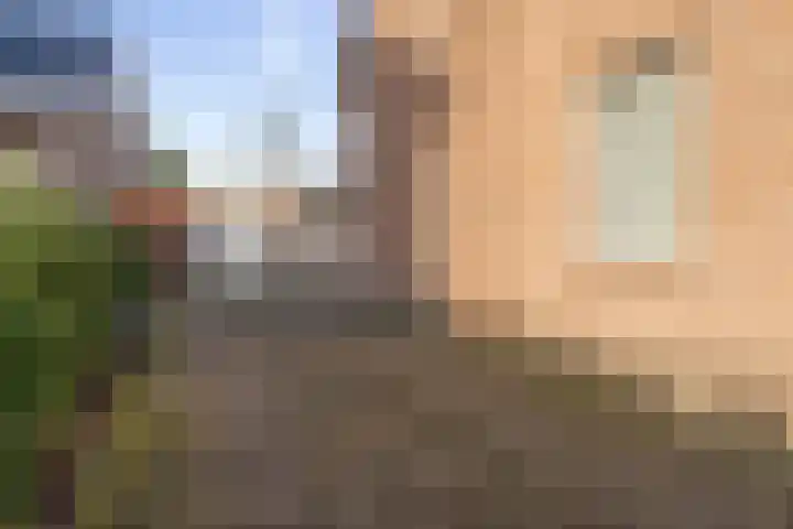 Roosendaalsebaan 4 Oud Gastel thumbnail 9