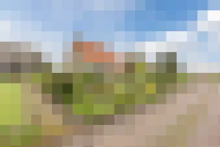 Roosendaalsebaan 86 Oud Gastel thumbnail 10