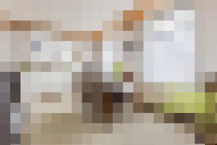 Roosendaalsebaan 86 Oud Gastel thumbnail 21