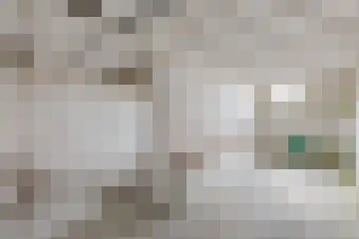Roosendaalsebaan 86 Oud Gastel thumbnail 27