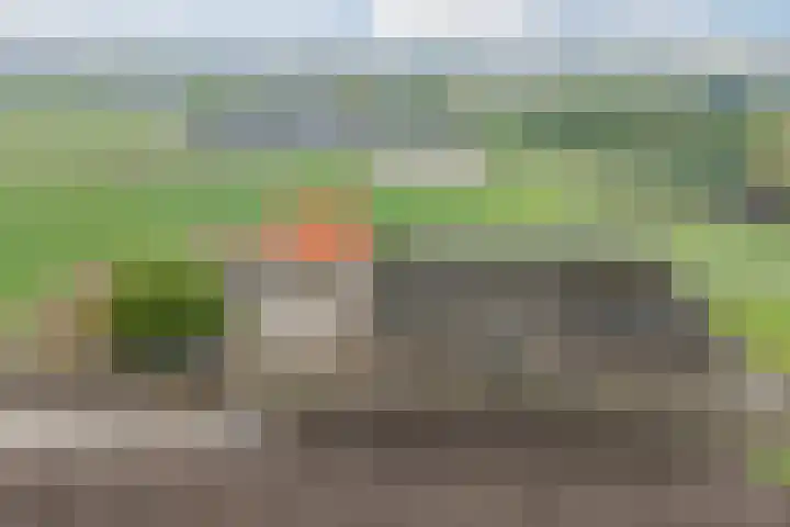 Roosendaalsebaan 86 Oud Gastel thumbnail 47