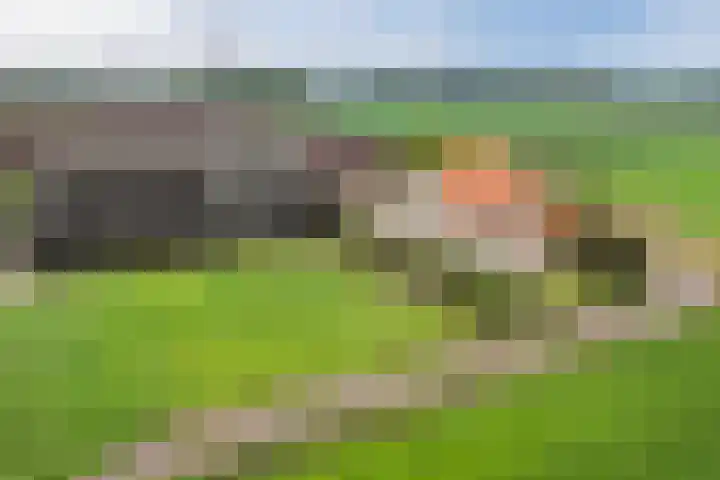 Roosendaalsebaan 86 Oud Gastel thumbnail 5