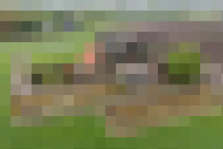 Roosendaalsebaan 86 Oud Gastel thumbnail 7