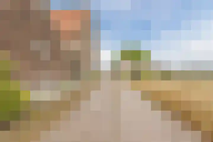 Roosendaalsebaan 86 Oud Gastel thumbnail 9