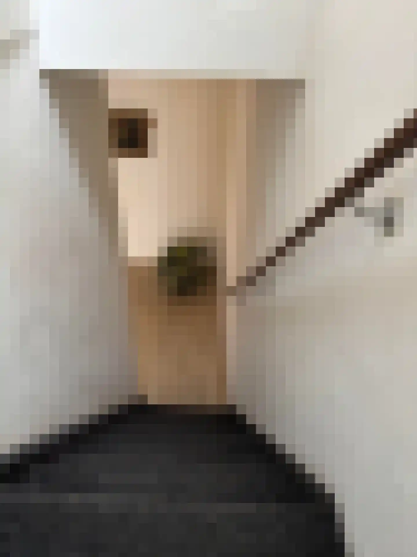 Roosendaalsestraat 13 Wouw thumbnail 18