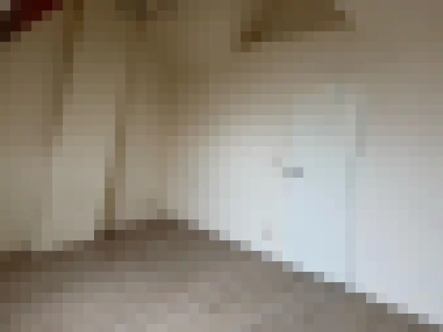 Roosendaalsestraat 13 Wouw thumbnail 23