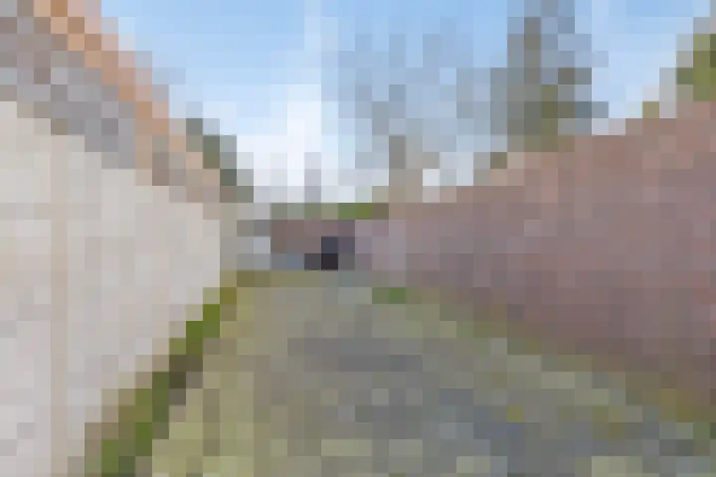 Roosendaalsestraat 13 Wouw thumbnail 29