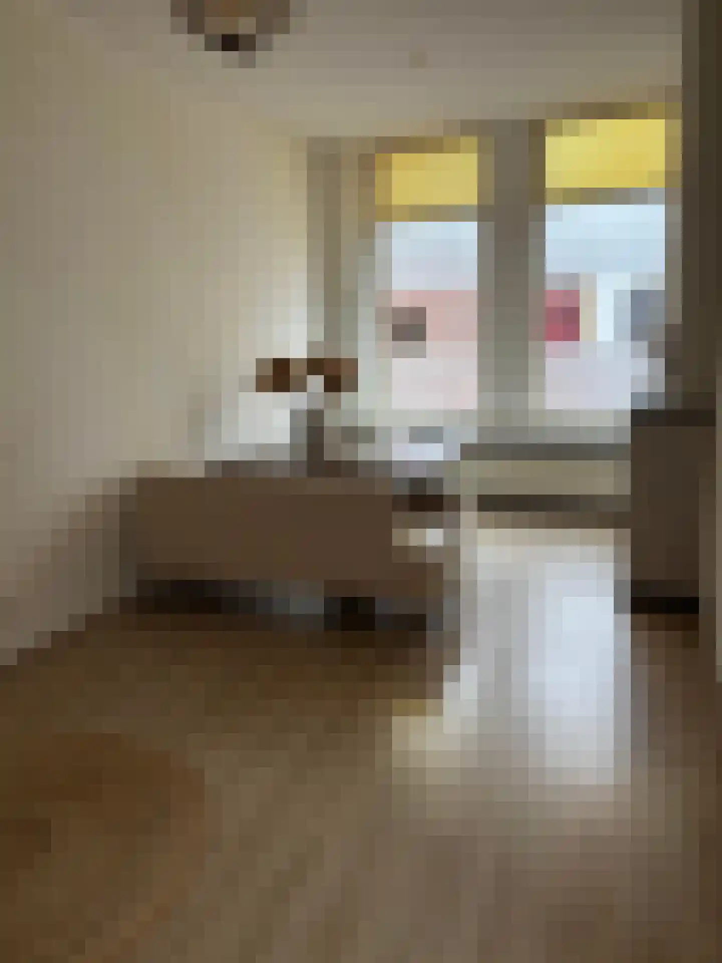 Roosendaalsestraat 13 Wouw thumbnail 7