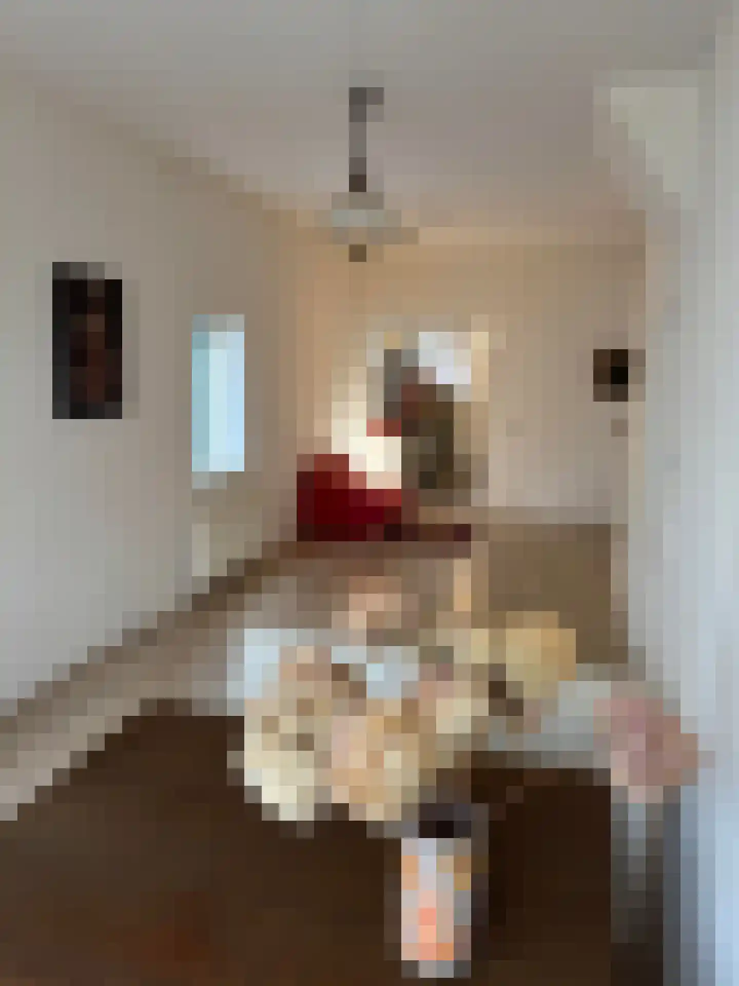 Roosendaalsestraat 13 Wouw thumbnail 9