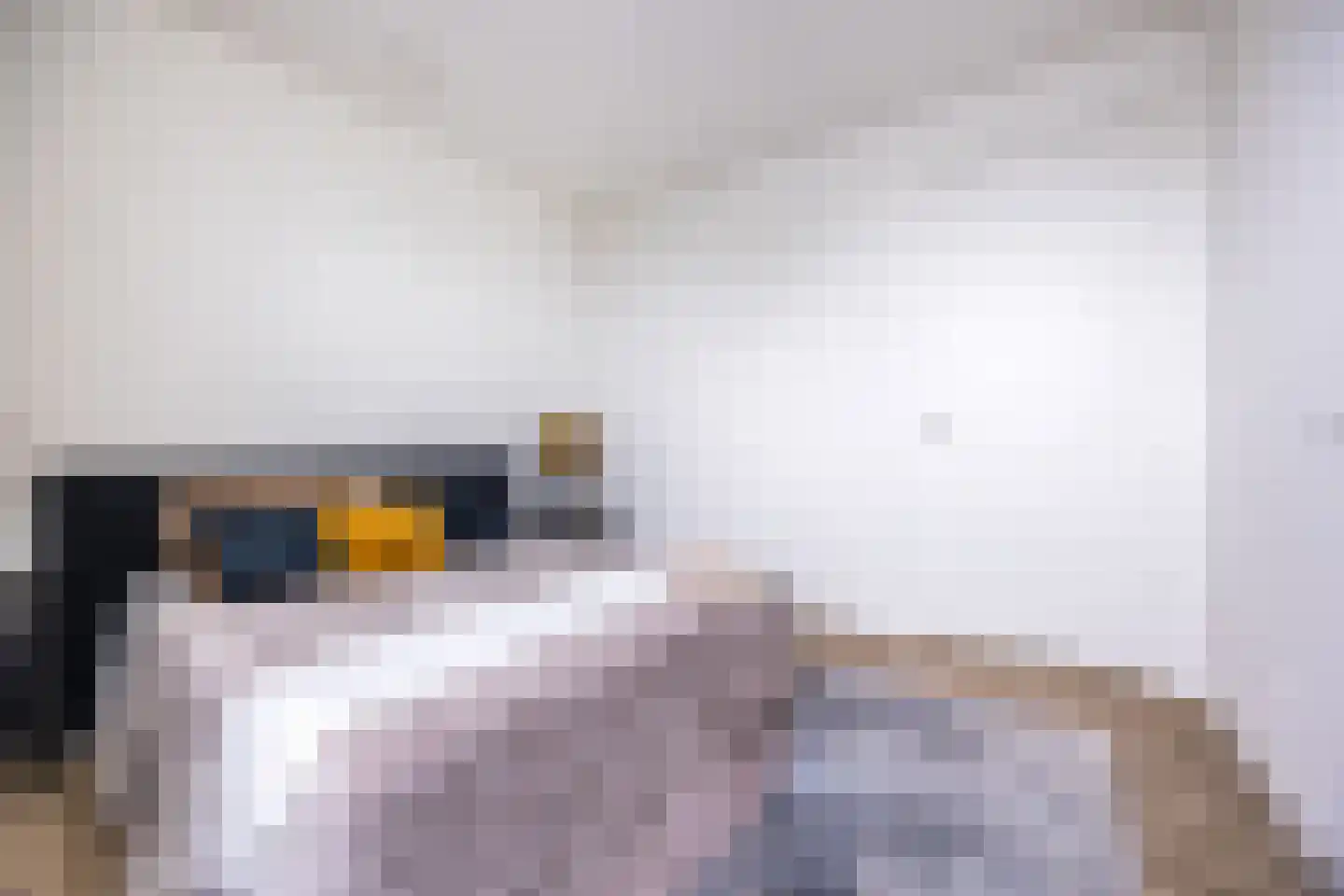 Roosendaalsestraat 18 f Wouw thumbnail 17