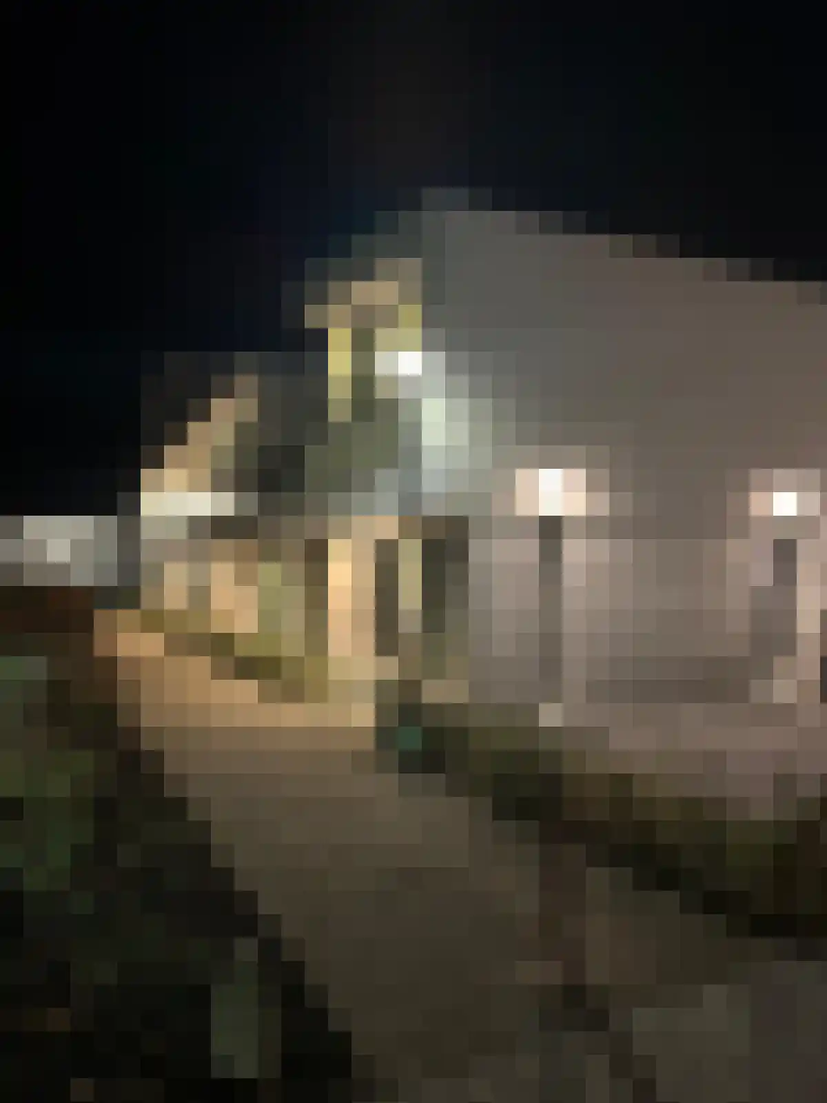 Roosendaalsestraat 18 f Wouw thumbnail 40