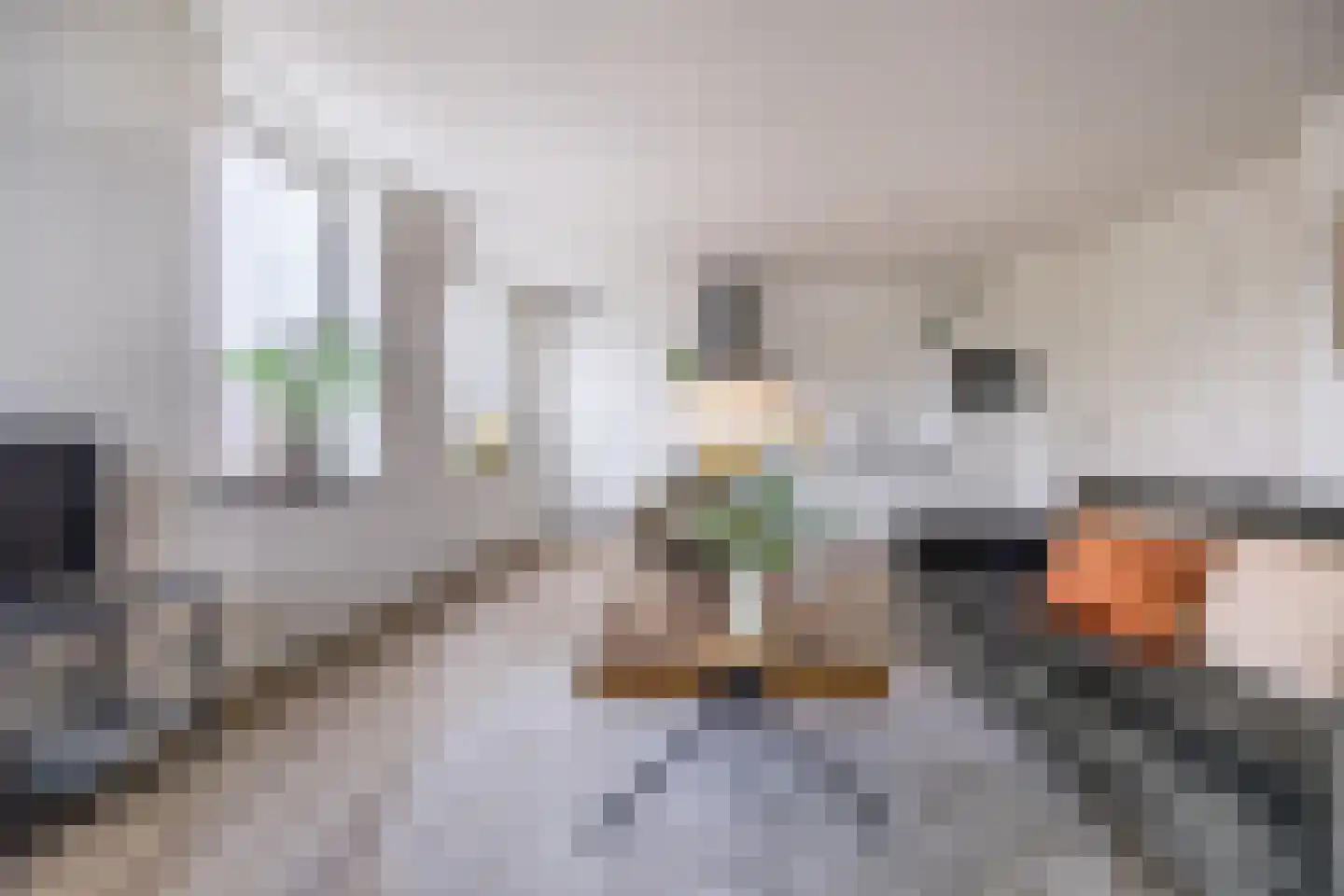 Roosendaalsestraat 18 f Wouw thumbnail 7