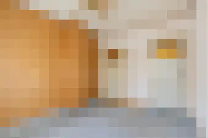 Roosendaalsestraat 3 Wouw thumbnail 18