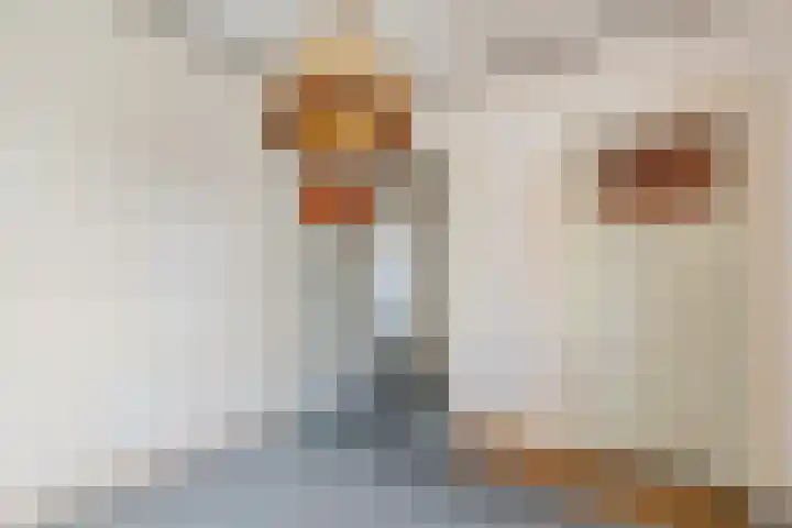Roosendaalsestraat 3 Wouw thumbnail 20