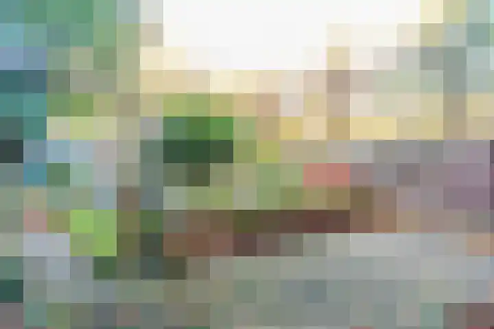 Roosendaalsestraat 3 Wouw thumbnail 27