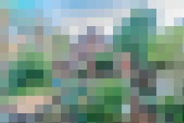 Roosendaalsestraat 3 Wouw thumbnail 30