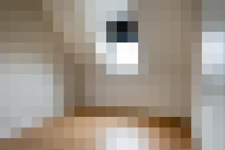 Roosendaalsestraat 56 e Wouw thumbnail 13