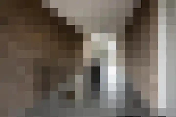 Roosendaalsestraat 56 e Wouw thumbnail 20