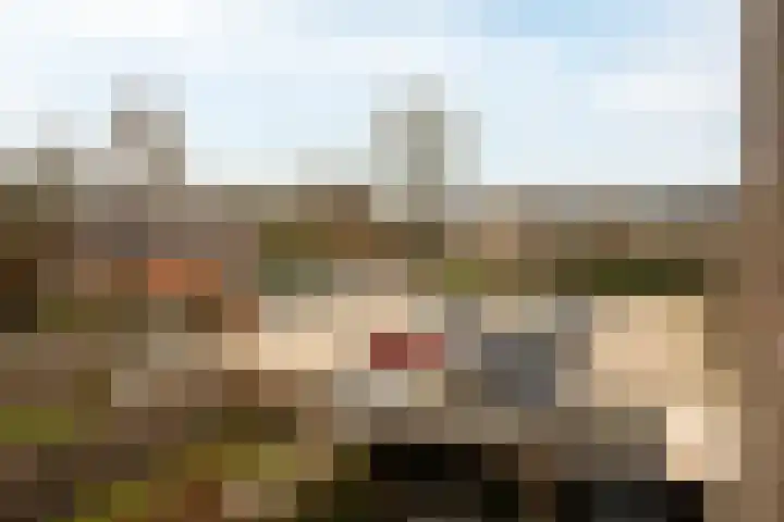 Roosendaalsestraat 56 e Wouw thumbnail 22