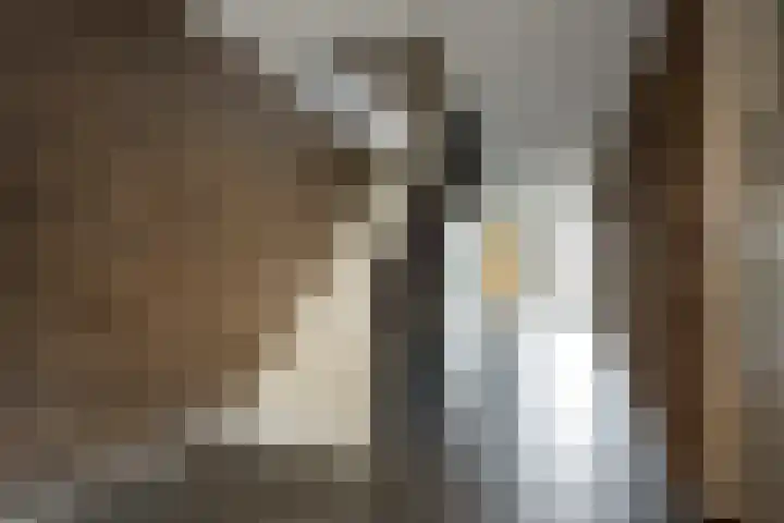 Roosendaalsestraat 56 e Wouw thumbnail 23
