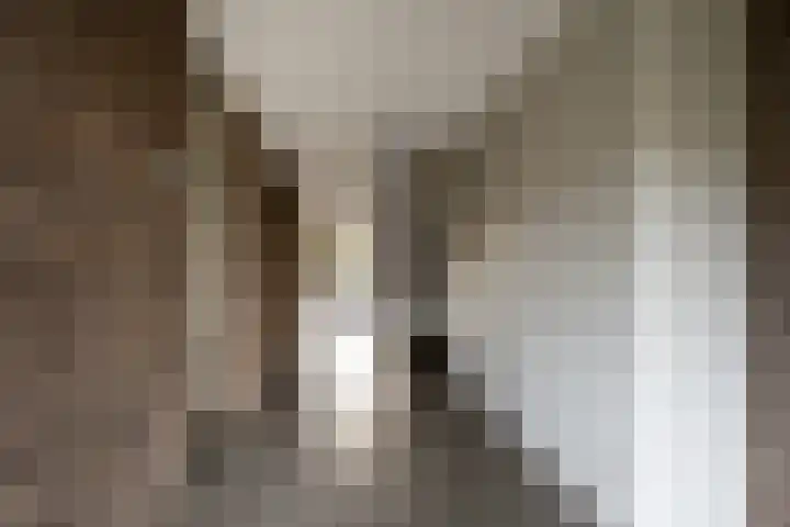 Roosendaalsestraat 56 e Wouw thumbnail 24