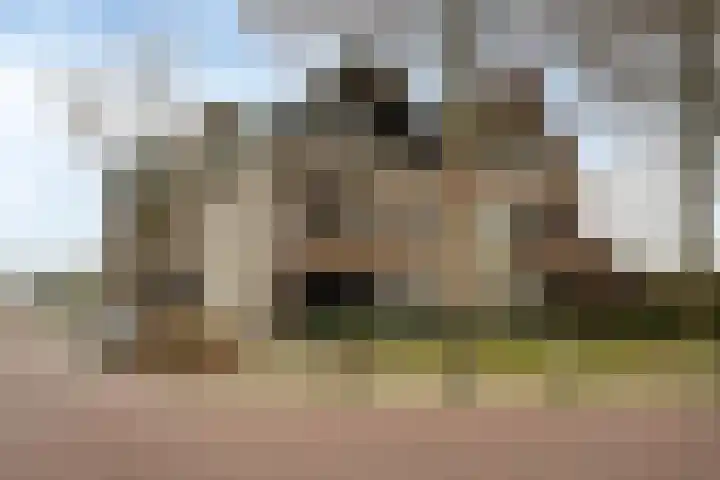 Roosendaalsestraat 56 e Wouw thumbnail 31