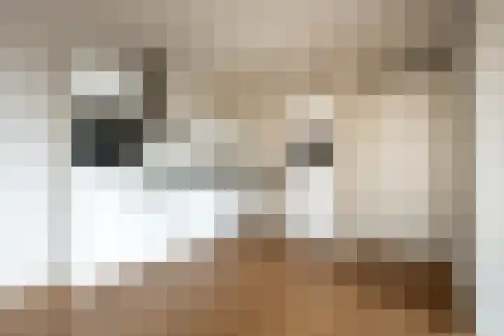 Roosendaalsestraat 56 e Wouw thumbnail 5