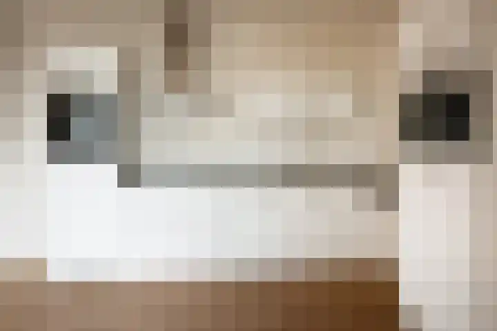 Roosendaalsestraat 56 e Wouw thumbnail 6