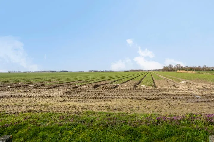 Roosendaalseweg 109 Kruisland thumbnail 56