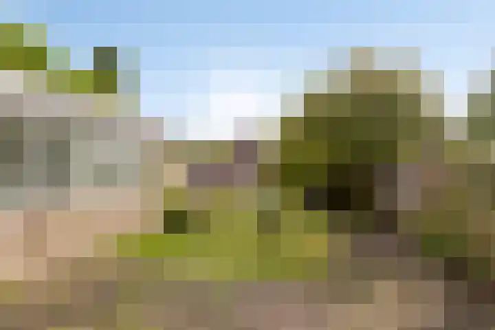 Roosendaalseweg 124 Kruisland thumbnail 33