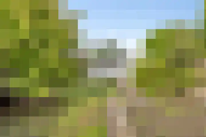 Roosendaalseweg 124 Kruisland thumbnail 5