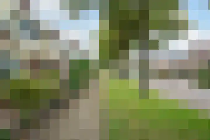 Roosendaalseweg 54 Putten thumbnail 27