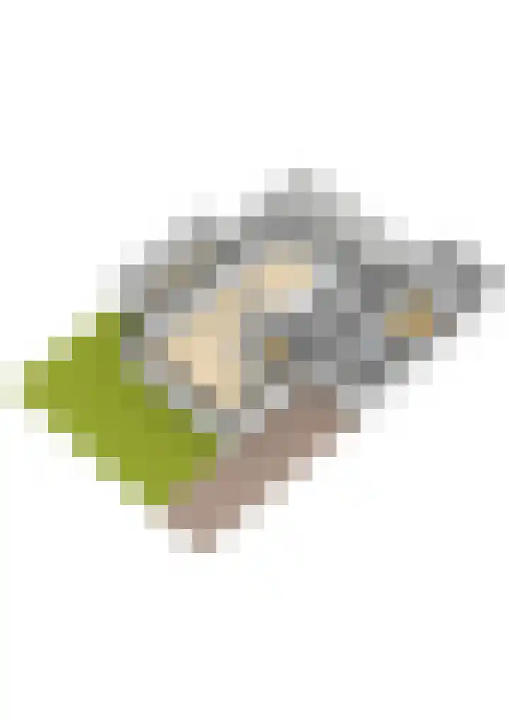 Roosendaalseweg 63 Putten thumbnail 56