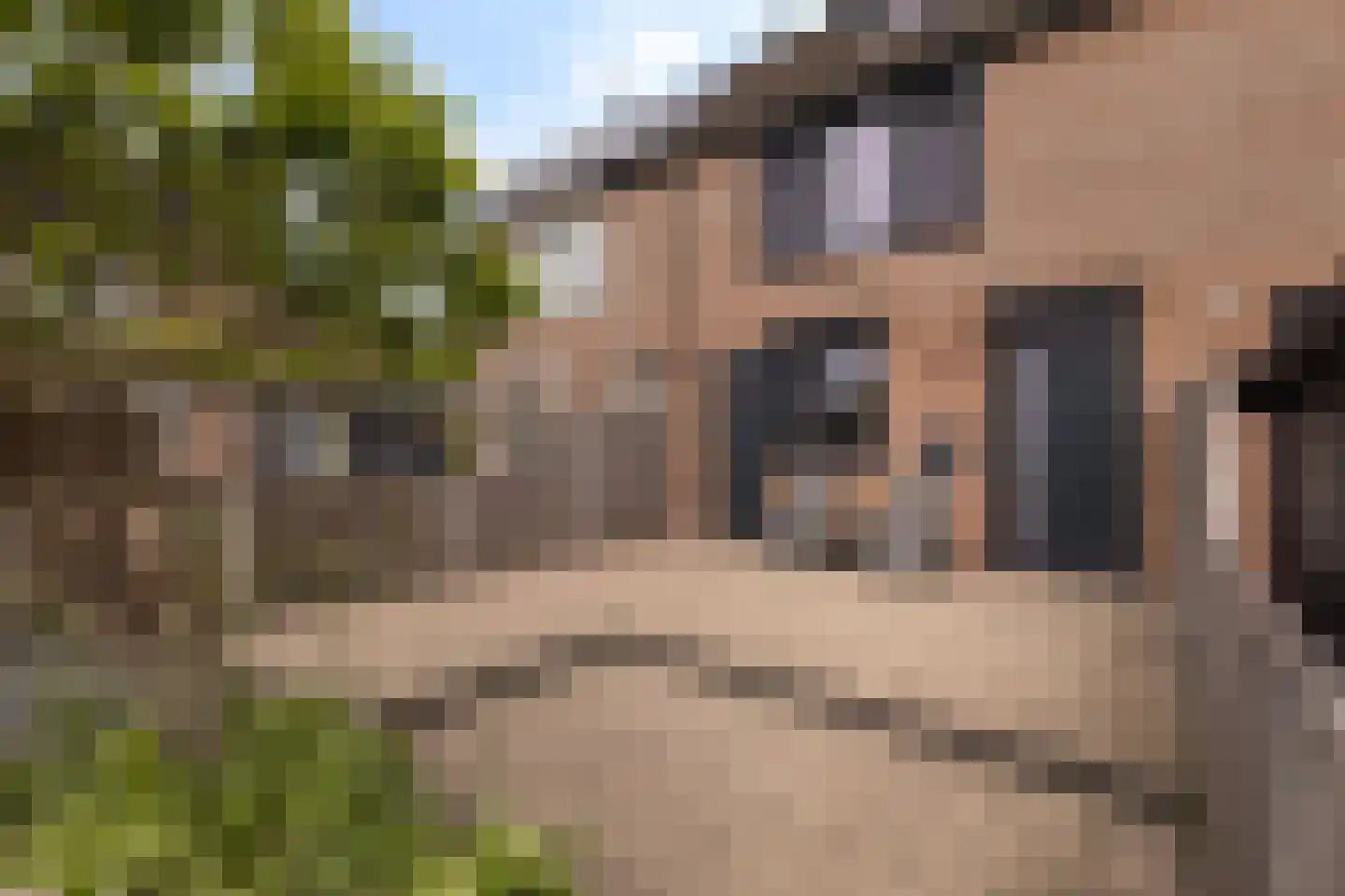 Roosendaelweg 17 Geervliet thumbnail 38