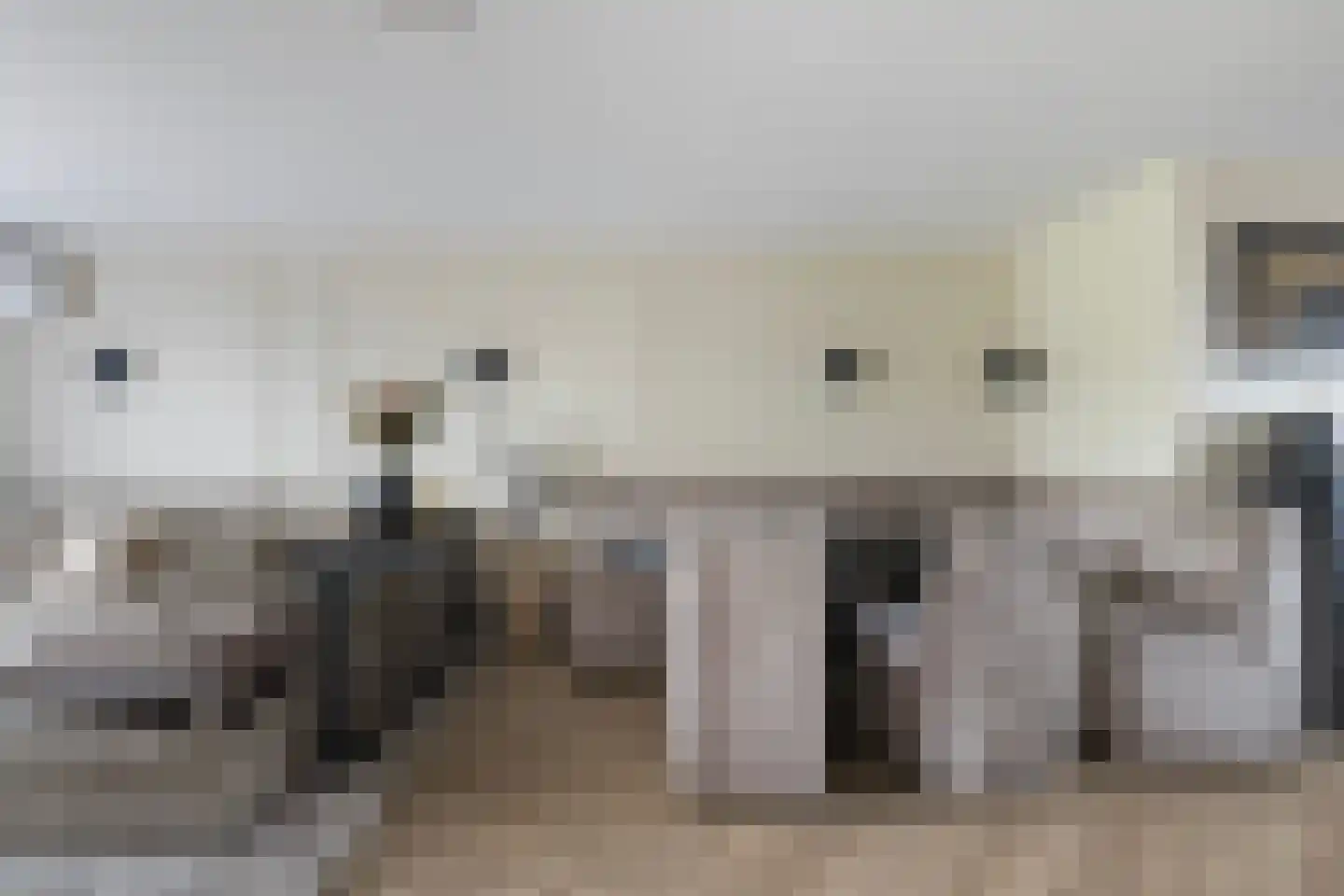 Roosendaelweg 17 Geervliet thumbnail 8