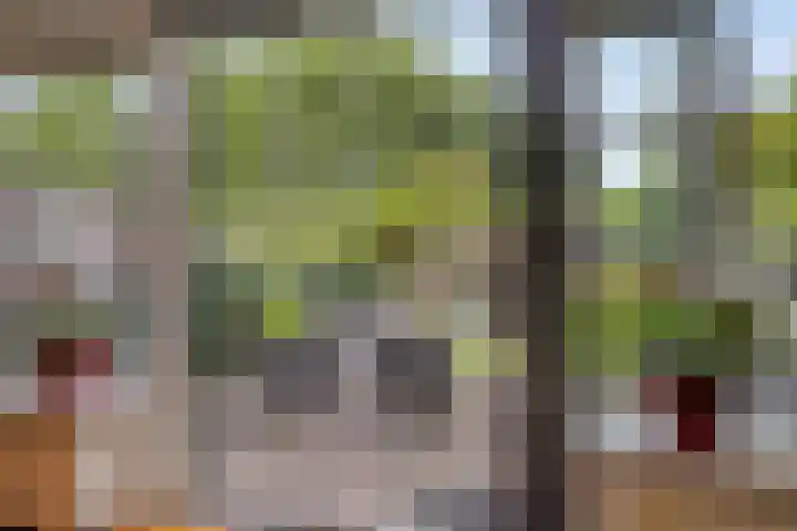 Roosendaelweg 5 Geervliet thumbnail 22