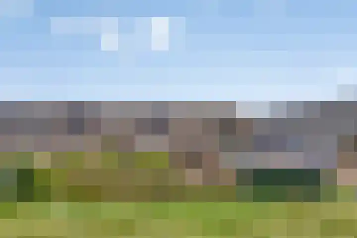 Roosendaelweg 5 Geervliet thumbnail 28