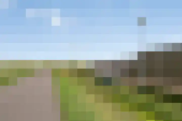 Roosendaelweg 5 Geervliet thumbnail 29