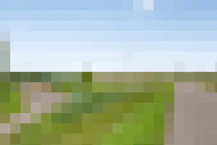 Roosendaelweg 5 Geervliet thumbnail 30