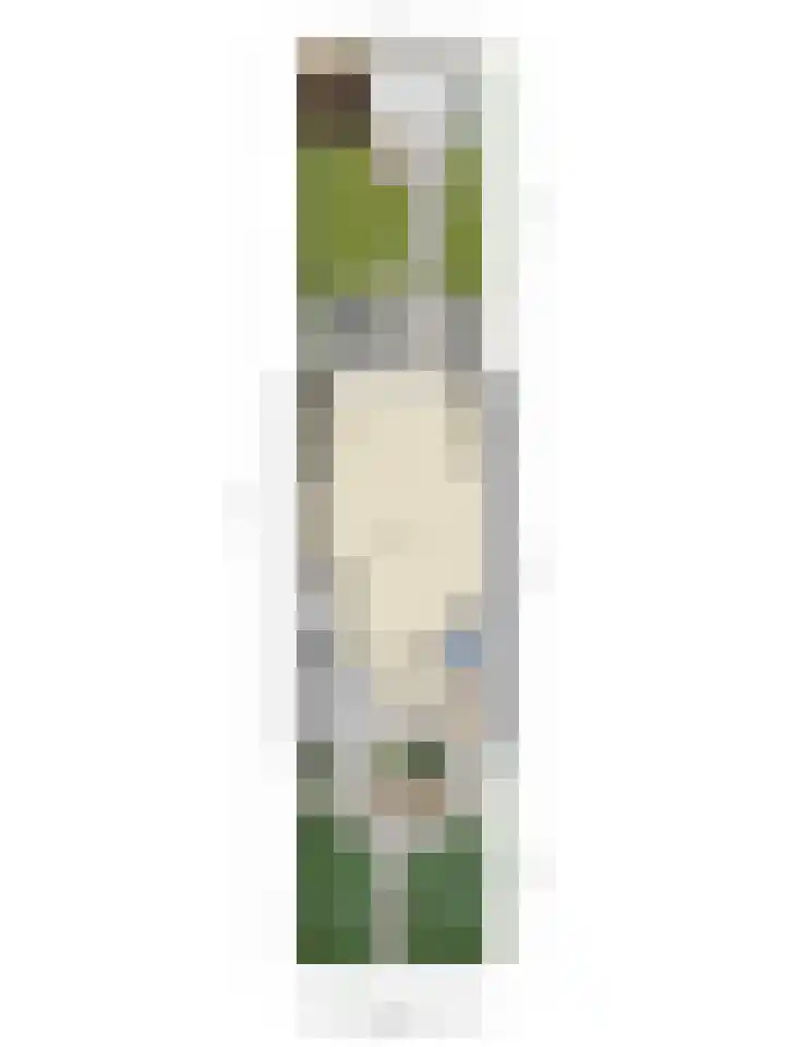 Roosendaelweg 5 Geervliet thumbnail 32